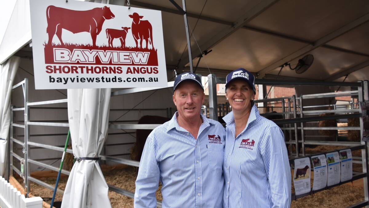 Chris and Anissa Thompson. Bayview Shorthorn stud, Yorketown, are hoping to grow demand for the breed and their stud in Qld as an exhibitor in the Shorthorn Beef trade site. Picture by Catherine Miller