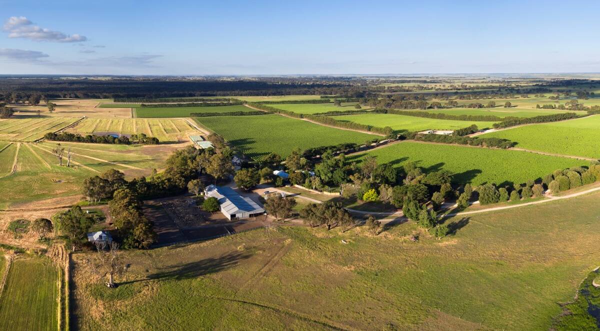 PRODUCTIVE PACKAGE: Blue ribbon mixed farming property Heathfield, Bool Lagoon, has sold walk-in, walk-out for close to $10 million. The 1336 hectares included a 116ha vineyard and substantial water licence.