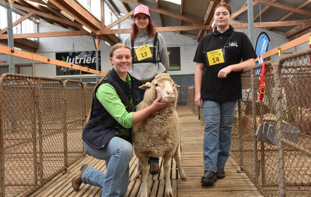 Sarah Westerholm, Keith, with her two junior buddies Lacey Thompson, Lucindale, and Josephine Schluten, Kangarilla, at the SA Sheep Expo. Picture by Catherine Miller