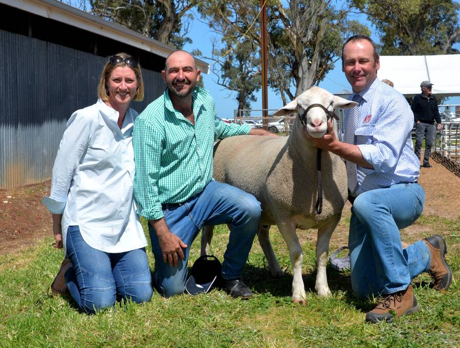 SIRE POWER: Kirsty and Martin Harvey, Paxton stud, paid $12,000 for a White Suffolk ram from the Days Whiteface stud, being held by Lachy Day.