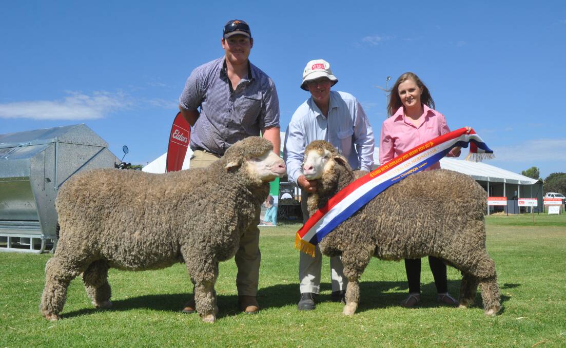 STATE REPS: John and Dennis Dalla, Orrie Cowie stud, Warooka, with their winning medium wool ram and ewe. The pair will represent SA in the national pairs judging at the Australian Sheep & Wool Show in Bendigo, Vic, in July. They are being sashed by Elders communication specialist Annie Ashby.