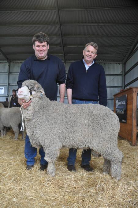 NSW BOUND: Wade Boughen, Kamora Park, Karoonda holds the $13,000 ram he and father Colin bought on behalf of Lachlan Merinos, Forbes, NSW. They are with Moorundie stud principal Geoff Davidson.