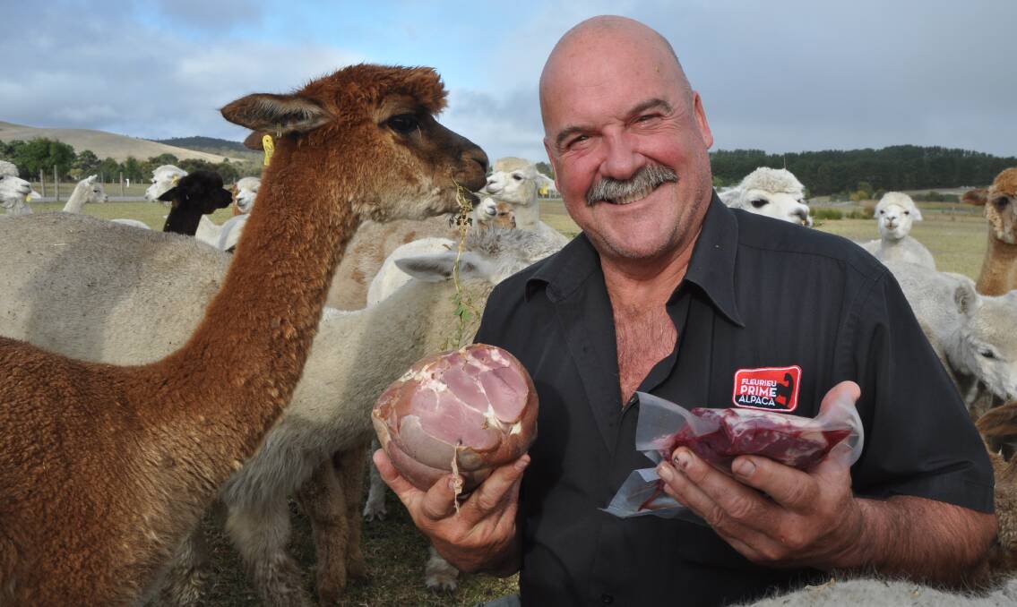 MEATY MARVEL: Fleurieu Prime Alpaca owner Chris Williams says alpaca meat has a soft delicate flavour marrying itself to any seasoning. It is also very low in cholestrol and high in iron.