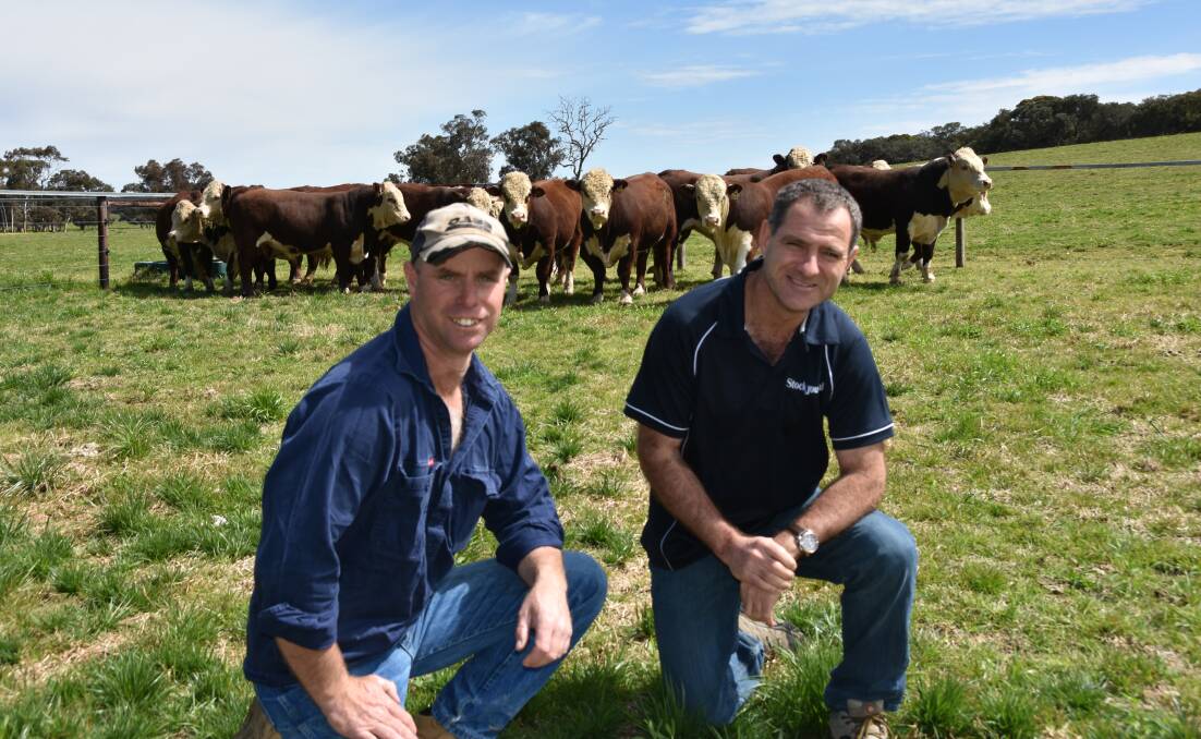 MARKETING AVENUE: Bendulla stud principal Andrew Bennett, Mundulla, discusses Beef Week 2018 with Stock Journal's stud stock manager Mark Scown.