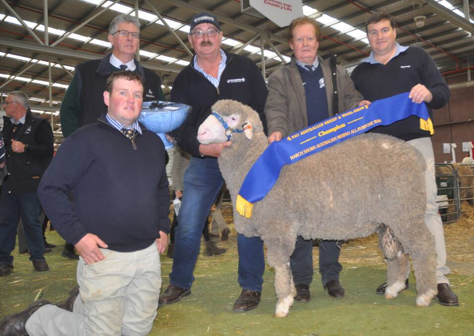 Meat judge Ben Simmons (kneeling) and wool judge Ray Lewis (second from right) with, Phil Toland, Toland Poll Merinos, Violet Town, Vic and Joe Dahltz, Roemahkita stud, Cummins, holding the Australian Merino All Purpose ram. Sashing the ram is Rodwell's Michael de Kleuver.