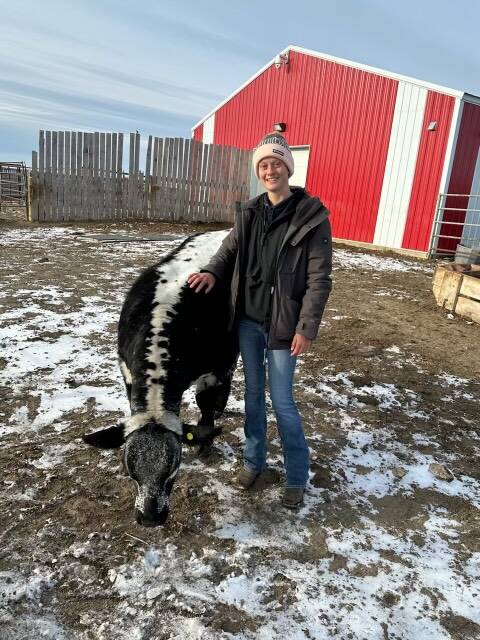 Speckle Park breeder Emily Edwards at Colgan's Cattle Company, Saskatoon, Canada with a heifer which was a daughter of a cow that she bought embryos in. Picture supplied