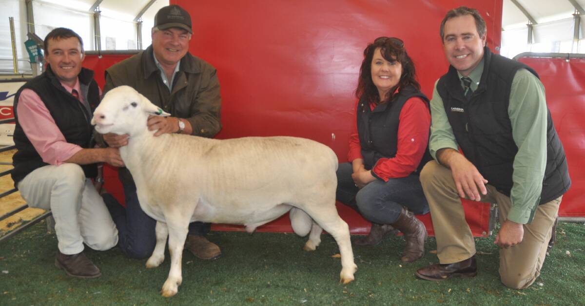 MEAT MACHINE: Elders' Steven Doecke, Angus McTaggart, Nonning Pastoral, Tanya Edson and Landmark's Richard Miller with the $3800 top price White Dorper ram.