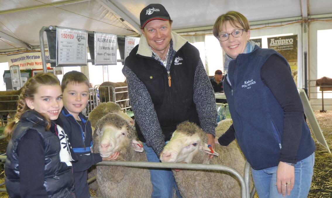 STUD PASSION: Stephen and Peta Kellock, Kelvale stud, Keith, and their children Jessica and Bradley at the Australian Sheep & Wool Show at Bendigo, Vic, where their display included rams for their sale on August 18.