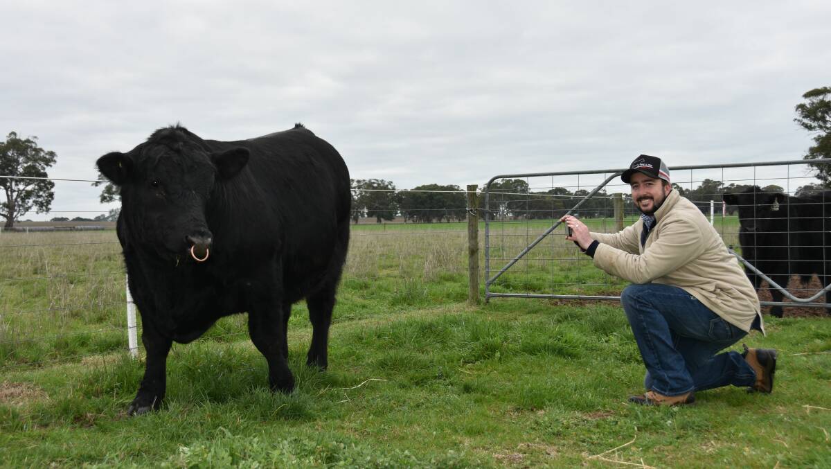 Jake Phillips, Phillips Cattle Co, Naracoorte, says Steer Showdown will be a great educational experience, as well as a way that students and breeders can still show off their steers on-hoof.