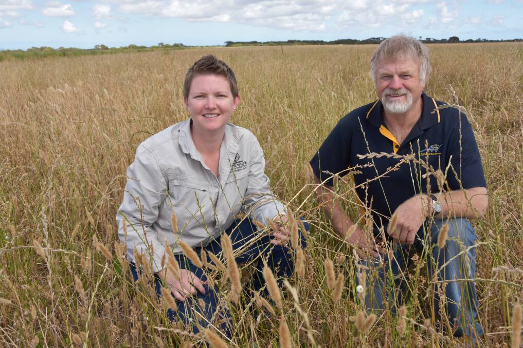 VALUABLE FEED: Rural Solutions SA PIRSA soils consultant Melissa Fraser and Wayne Hancock, Reedy Creek, say the Neptune messina pasture mix is showing promise on their low-lying flats.
