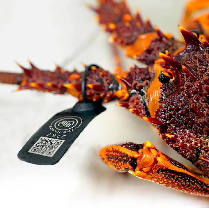 GUARANTEED: Smart tags on lobster products from Australia, headed to China.