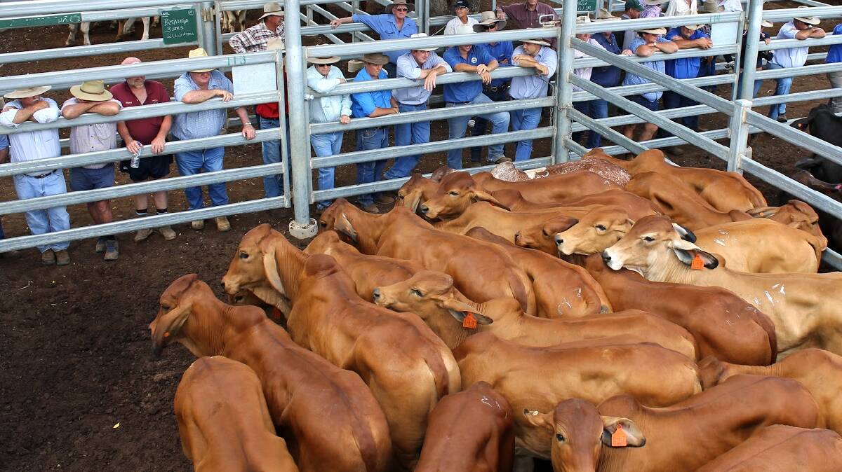 Order limits for livestock buyers under fire