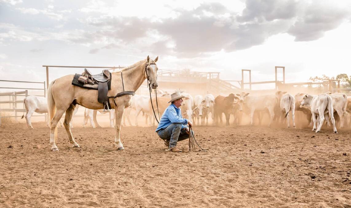 THE GRAZIER: Taroom's Nicky Poole captured this moment, as her father Doug contemplated ongoing drought on their Central Queensland property last year. They have now had good rain and are looking towards the rebuild.