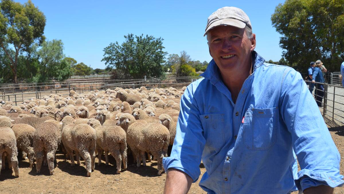 WOOLLY WETHERS: Grant McCallum, Willowie, was chasing wethers at Jamestown market to put on crop stubbles at Melrose. He bought these at $94 from South Gap Pastoral, Pt Augusta, because they had wool on them. "They were a bit dearer than I had hoped," he said. 