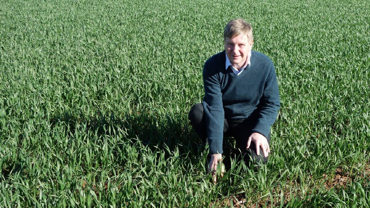 Chris Preston from the University of Adelaide will speak at the GRDC Grains Research Update in Loxton where he will detail progress to date on research into extending the longevity of herbicides through integrated weed management, as well as new chemistries coming on to the market. Photo: Peter Boutsalis