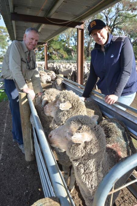 CHECK UP: John Symons, with daughter Hannah Robins, said a new breeding objective and selection process had driven down micron, without losing wool cut, at Parndana.