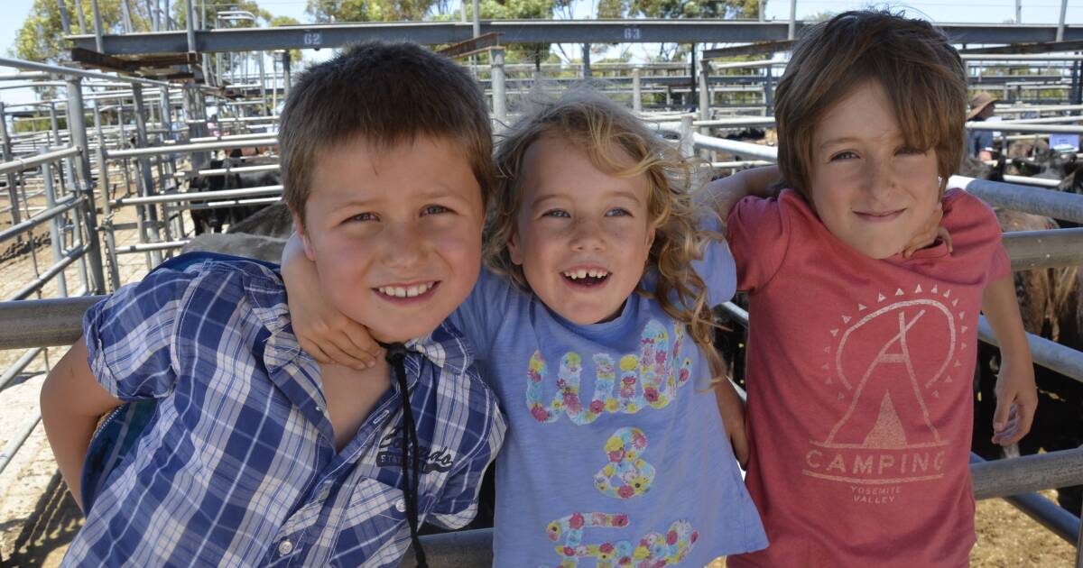 HOLIDAY BREAK: At the Strathalbyn cattle market on Friday were Jack Breen, 9, with Saoirse, 8, and Riley Vrey, 9. Their parents run cattle at Bull Creek in the Adelaide Hills.
