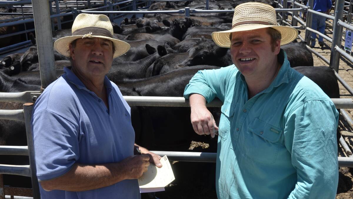 ANGUS PEN: Tom Porter, Naracoorte, bought 23 steers, av 338kg, for $1300 from RW Young, KI, at Strathalbyn on Friday. He is pictured with Tom Dawkins, Naracoorte. 