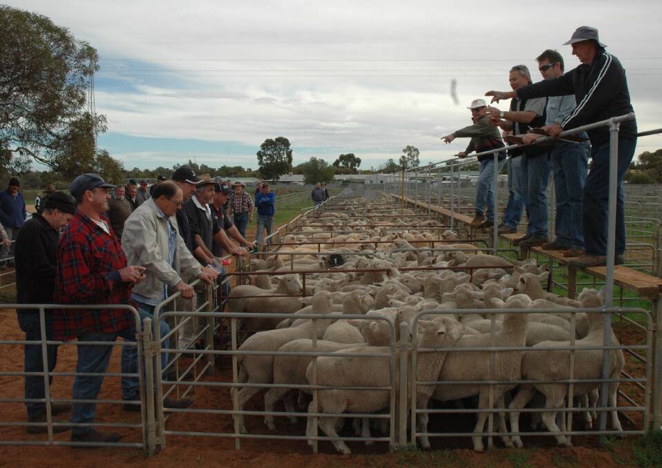 WINDING UP: Next Wednesday's Loxton livestock market at 11am will be the last due to dwindling numbers. Past buyers and vendors are invited to the Loxton Club afterwards to commemorate the final sale.