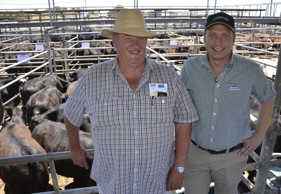 BUY-UP: Backgrounder Bob Coulthard, Woodside, bought 69 steers. He is pictured with Landmark Harcourts Strathalbyn's Nigel Christie.