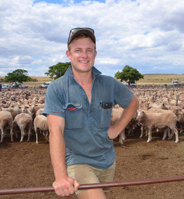 FLOCK BOOST: Jordy Kitschke, Jamestown, was chasing larger-framed ewes and bought three pens of Collinsville-blood ewes from JPS Investments' flock reduction.