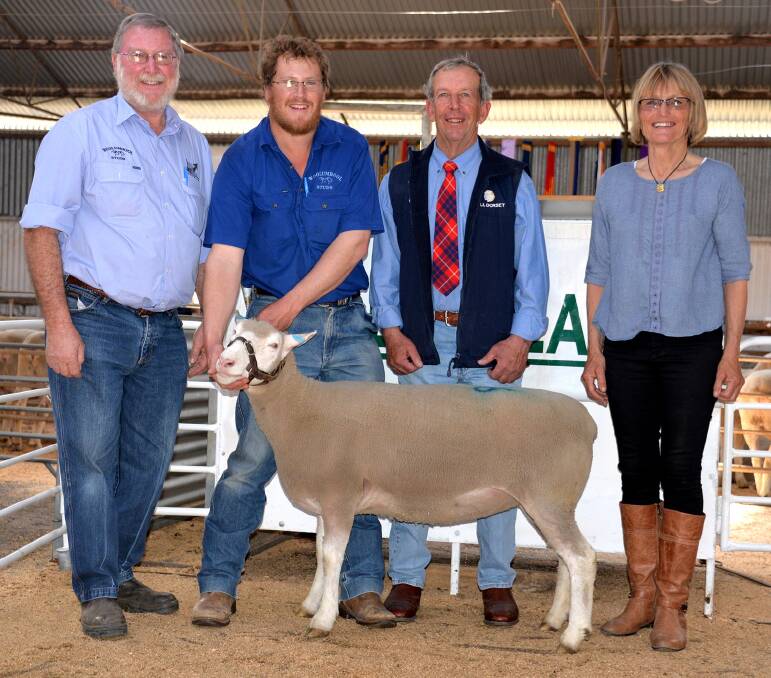 FINE FEMALE: The $2700 top price Leenala Poll Dorset ewe with buyers Phil and Aaron Clothier, Woolumbool stud, Lucindale, and vendors Alan and Lyn Schinckel, Naracoorte.