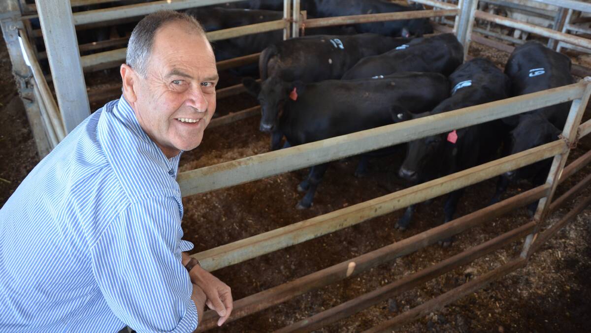 HAPPY CHAP: Peter Davidson, Hindmarsh Valley, normally trades in steers but bought PTIC cows with calves-at-foot in July because there was more available stock. He sold five Angus second-calvers at $1760; three Angus-Hereford cows at $1520; and three Murray Grey cows at $1620. All were PTIC to a Murray Grey bull.