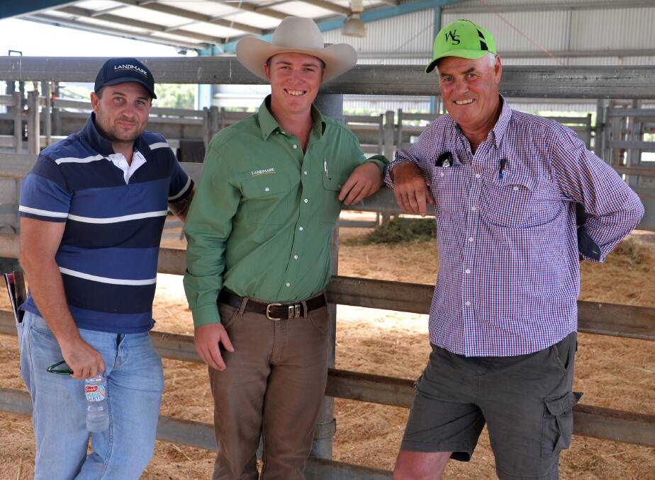 The two volume buyers at the Woonallee Elite Female Sale with four heifers each were Jarrad Bonanno, Norman Park Simmentals, Windsor, NSW; his buying agent, Alistair Keller, Landmark Minlaton; and Tony Head, Cummins.