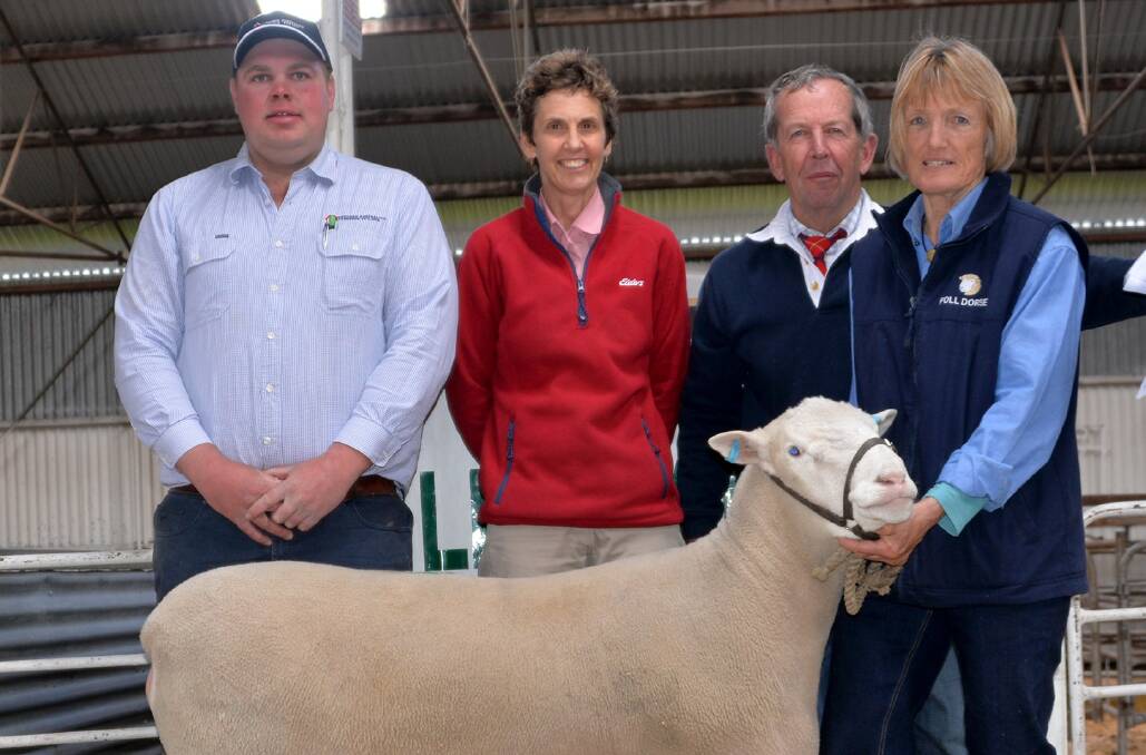 PREMIUM POLL: Southern Australian Livestock's Mat McDonald and Elders' Sue Cother with Alan and Lyn Schinckel and Leenala 150072Tw - this year’s Adelaide Royal champion that made the sale‘s $10,000 top price.