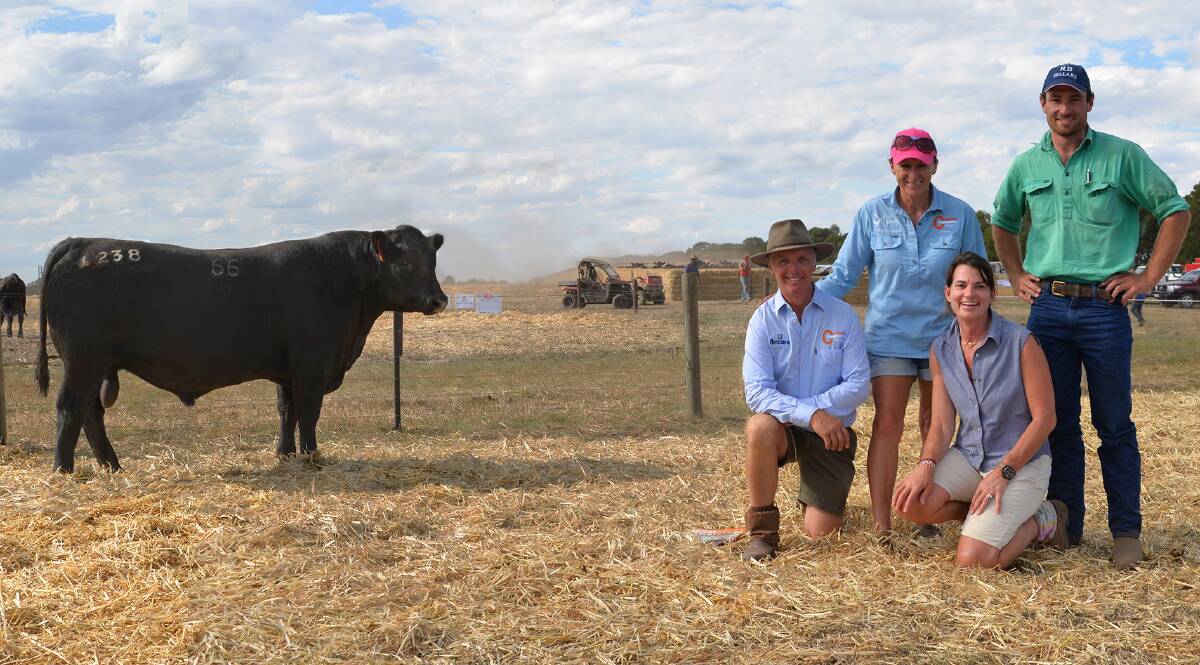 PRICE BROKEN: The $17,000 Coolana record price bull with owners Mark and Anna Gubbins, Chatsworth, Vic, and buyers Alix and Harry Kelly, Mooromook Pastoral, Caramut, Vic.