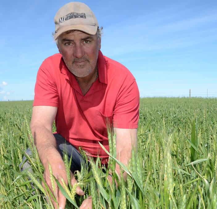 ON TRACK: Port Germein cropper Chris Pole said despite Russian wheat aphid issues and a slightly late start to seeding, the season has been fairly kind. "We've had pretty regular, good rainfall," he said.