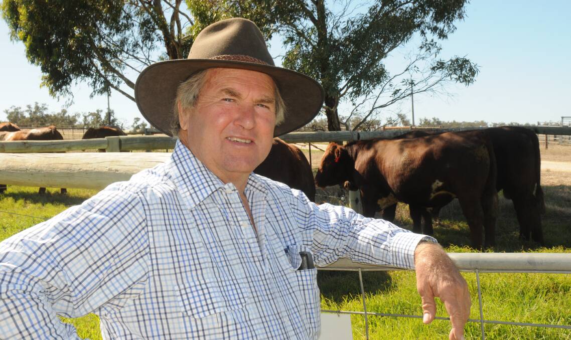 TOP MARKS: Naracoorte cattle breeder Andy Withers said branding was a "time proven" method used across SA. “Most stations use earmarks, we use them here in the South East, and my brother uses them in the north,” he said. 
