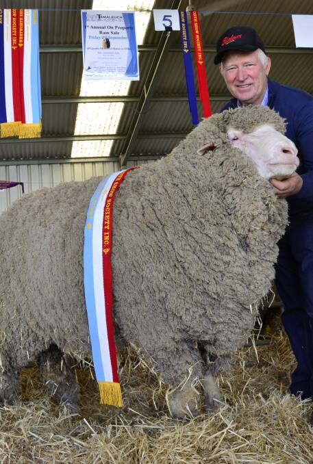SUPREME SHEEP: Kevin Crook, Tamaleuca stud, Ouyen, Vic, with his Wentworth Show supreme exhibit - a medium wool two-year-old Poll Merino ram weighing 158kg. 