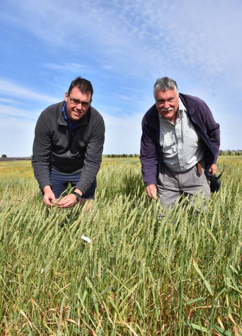 LOCAL KNOWLEDGE: Agrilink consultants Jeff Braun and Mick Faulkner gave an update on their frost research at a Mallee Sustainable Farming field day in Loxton recently.