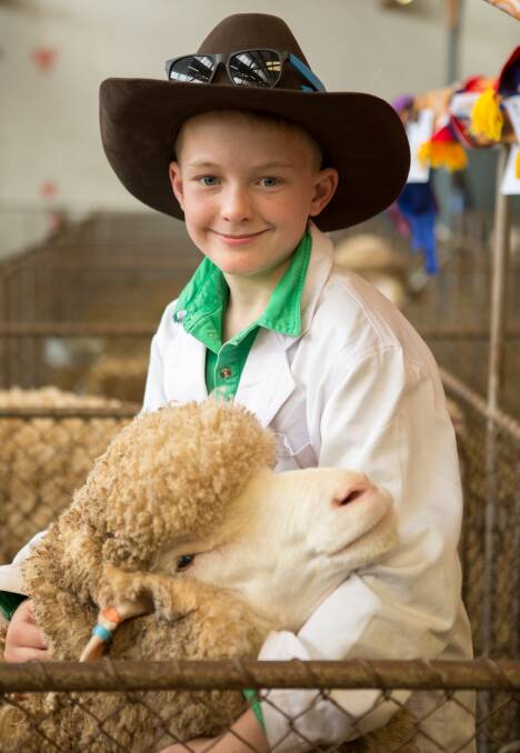 MERINO YOUTH: Vaughan Eastwood, 13, Mount Bryan, with one of the Greenfields stud's champion ewes he was helping to show at Adelaide.