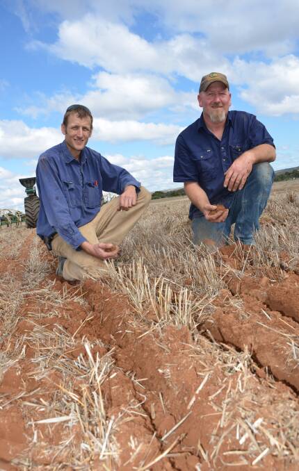 OPEN SEASON: Callington croppers Nathan and Brett Wegener started seeding at the weekend after receiving nearly 40 millimetres of rain on Thursday last week.