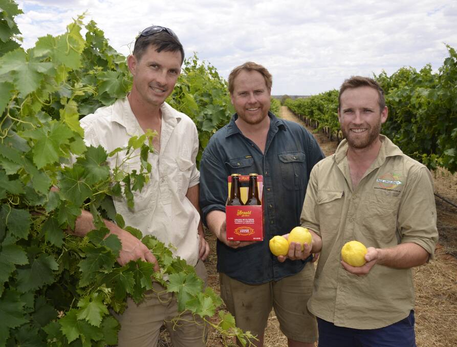 TRIO WITH TWIST: Michael, Ryan and Tim Arnold created an alcoholic lemonade as a value-add to their citrus and grape business Pyap Produce near Loxton. 