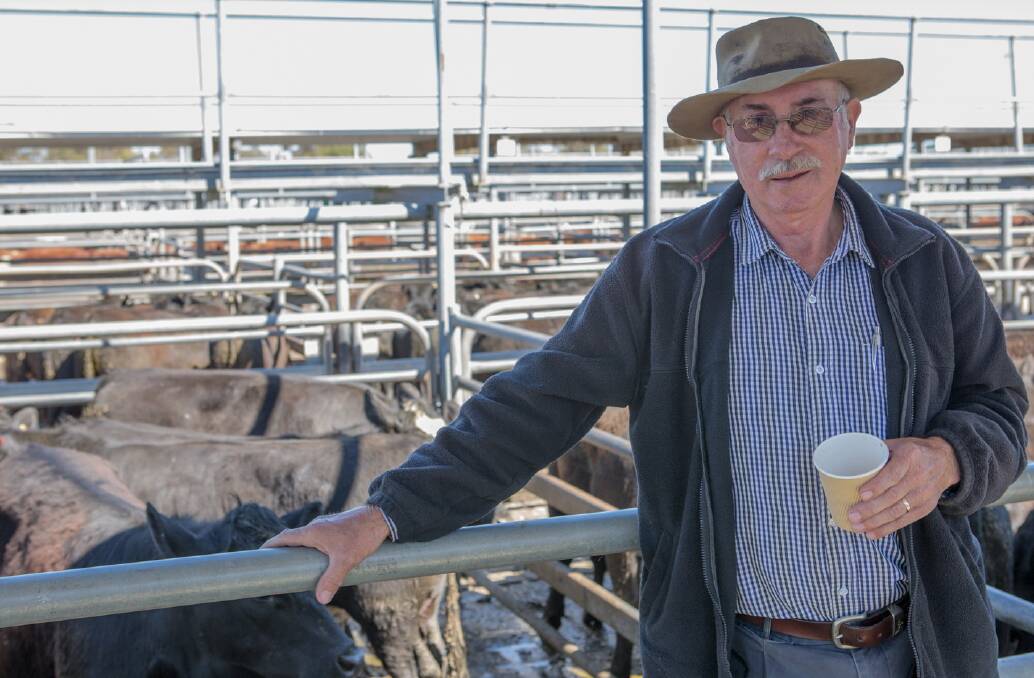 BUY UP: Max Saffin, Provale Park, bought steers to finish on his Yahl property, including these six Angus-crosses.