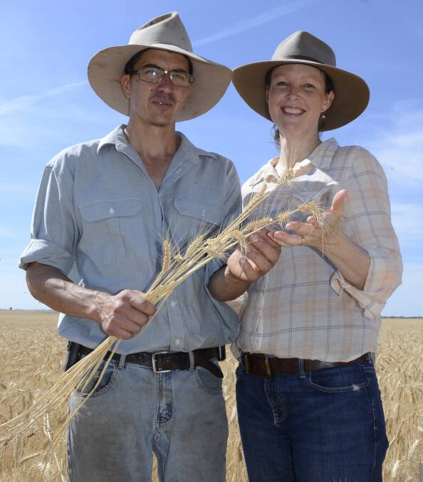MALLEE READY: Taplan farmers Josh and Peri McIntosh, Border Park Organics, in their Yitpi crop, which they plan to start harvesting next week.