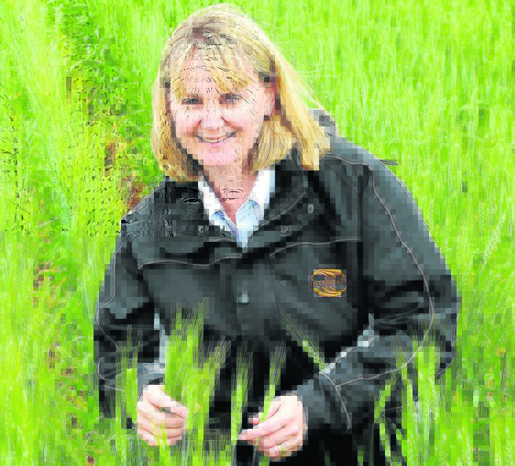 Tress Walmsley says using pilot malting equipment as part of the malt variety accreditation process for Barley Australia will ease the strain on commercial malting facilities.
