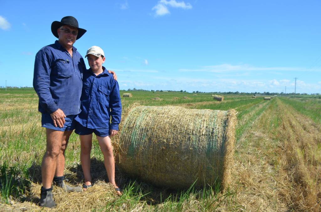 Ayr-based farmer Frank Pirrone and son Jaycob stand in the 19 hectare rice paddy that they harvested in December with great success. The crop yielded 10.3t/ha dry which was sold to SunRice for $420/t.