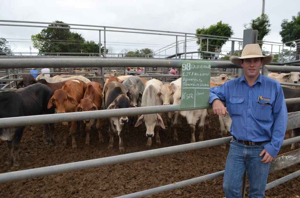 Queensland Rural Charters Towers sale agent David Halstead, with the pen of 16 Brahman-cross steers which vendors Ernie and Kylie Camp of Floraville Downs, Burketown generously donated for the sale with proceeds going to Legacy Townsville. 