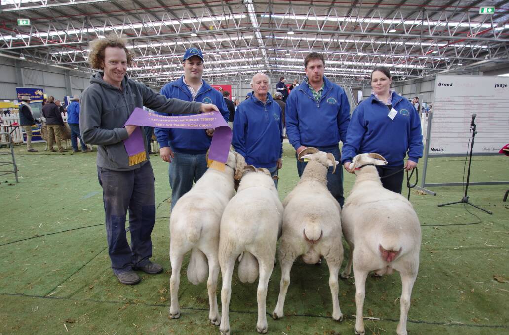 MEMORIAL TROPHY: Brett Davis, on behalf of the Bara-Simbil stud, presented the Leo Harwood Memorial Trophy and Sash to the O'Loghlin stud, for best of two Wiltshire Horn rams and ewes. Holding the sheep are Jason O'Loghlin, John O'Loghlin, David Allen and Kristy Tanner. 

