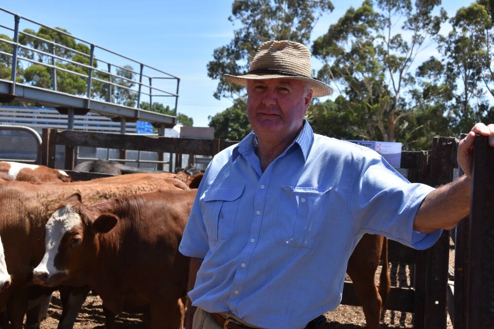 Alan James sold 23 weaner steers, averaging 323kg, for $1070 at the Kyneton, Victoria, sale on January 17. Photo by Andrew Miller