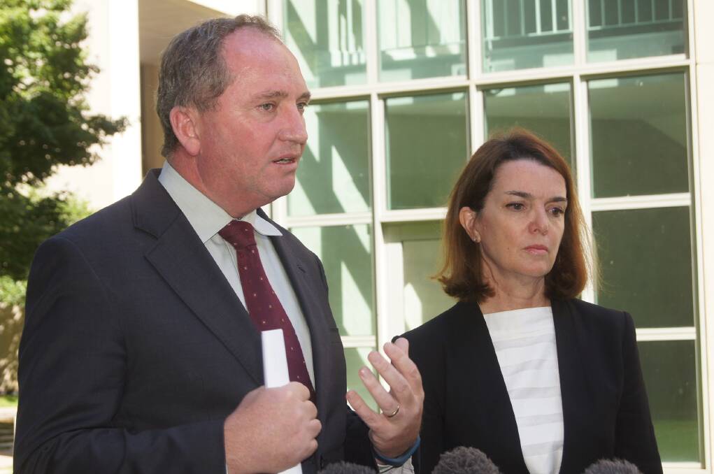 Agriculture and Water Resources Minister Barnaby Joyce and Assistant Minister Anne Ruston will be under the pump on farm policy issues, in the new parliament.