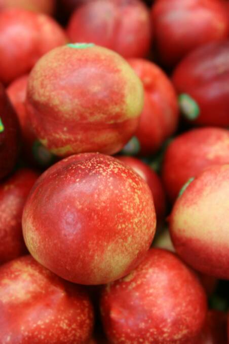 OUTGOING: Newly signed import protocols will allow more nectarines to be exported to China, an announcement welcomed by growers.