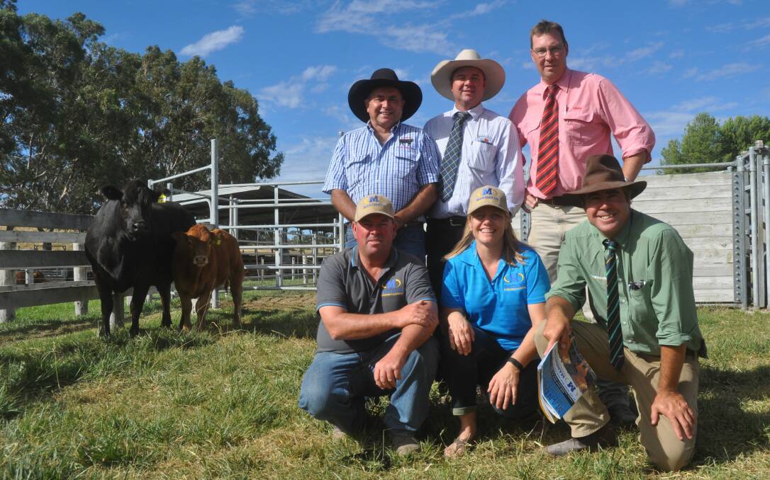 NSW BOUND: Tony Sutcliffe, Toebelle stud, NSW with the $18,000 Mandayen female with Jono Spence, Ross Milne, (front) Damian and Mandy Gommers and Richard Miller. 