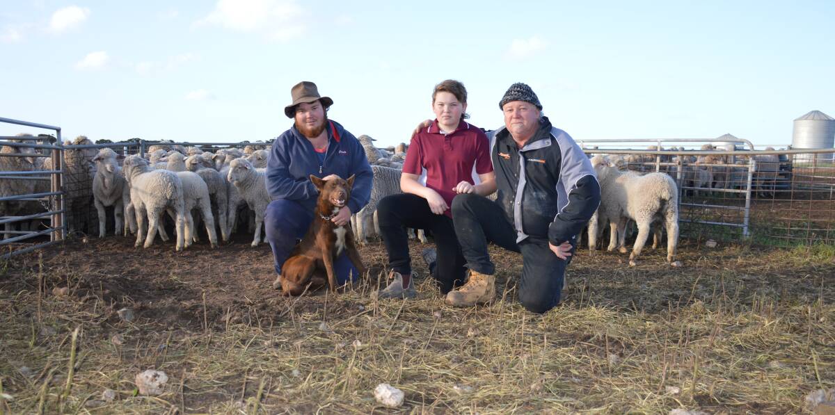 RETURNING VENDORS: Zack, Max and Nick Kelsh, Zaroma, Port Kenny, with 'Butch' and some of the wether lambs they will offer for sale.