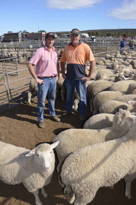 HAPPY SELLER: Elders Murray Bridge livestock agent Scott Eichler with Brett Sonntag, Younghusband, who sold new season lambs for $162 at Murray Bridge on Monday. 