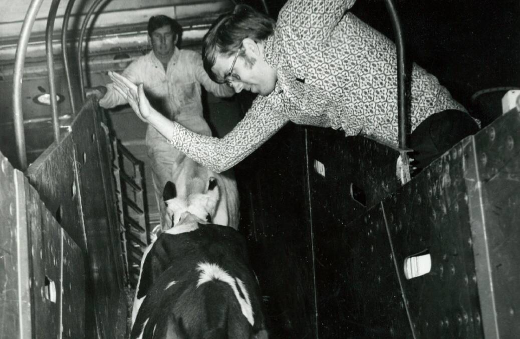 HANDS-ON: George Heading (back) unloading dairy cattle from "cattle class" in India.